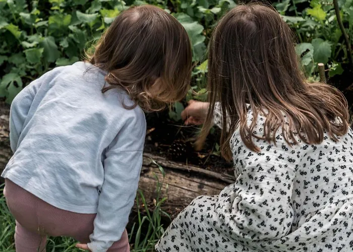 Mercure Chateau De Hotel Fontainebleau
